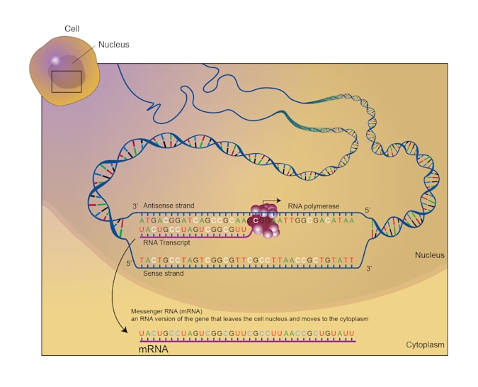 Moderna begins early-stage trials of mRNA-based HIV vaccine | DeviceDaily.com