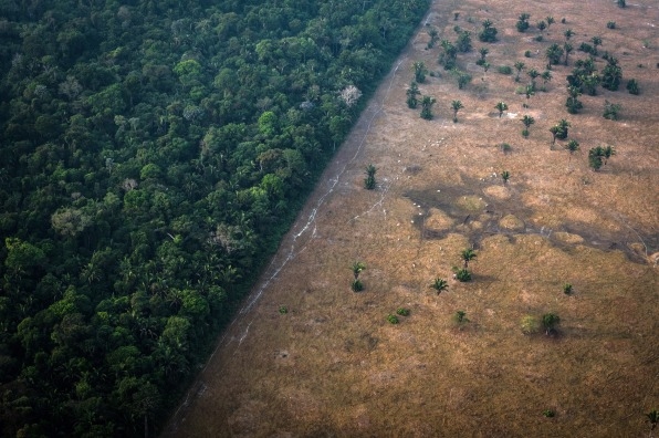 Corporations have failed to stop deforestation. Can that change in time to save the Amazon rainforest? | DeviceDaily.com