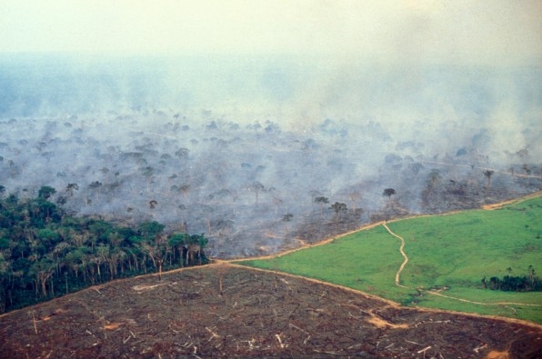 How Brazil’s government is clearing the way for Amazon deforestation | DeviceDaily.com