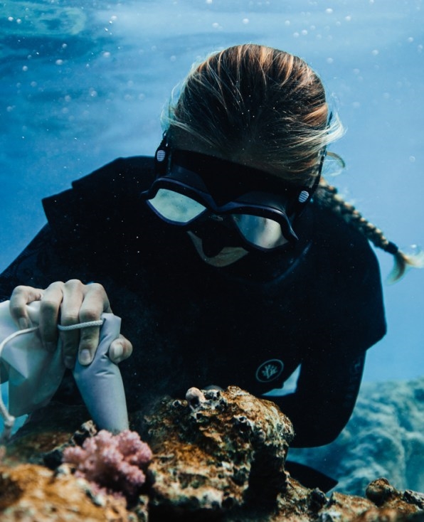 How one group is using artificial intelligence to replant coral reefs | DeviceDaily.com