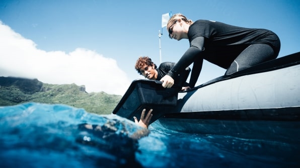 How one group is using artificial intelligence to replant coral reefs | DeviceDaily.com