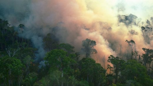 How Brazil’s government is clearing the way for Amazon deforestation