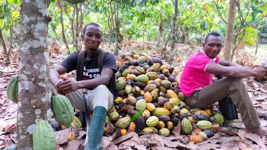 Can blockchain tech help farmers get climate insurance?