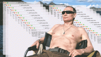 When a shirtless image of Vladimir Putin becomes a secret weapon in the information war