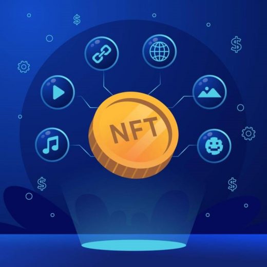 The Beginner’s Guide to White-label NFT Marketplace Platform