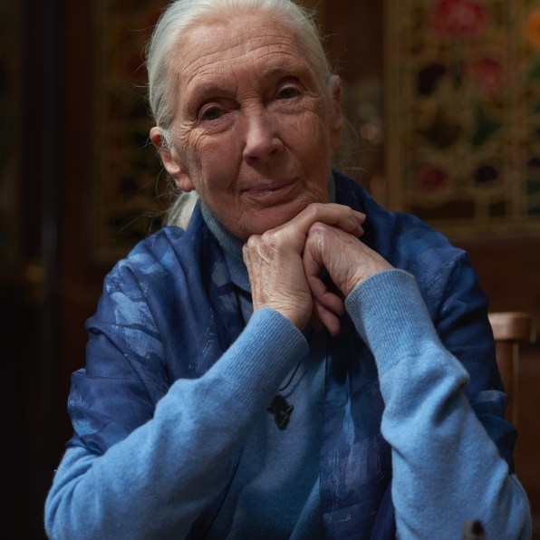 Jane Goodall’s advice for the world: ‘We have to roll up our sleeves’ | DeviceDaily.com