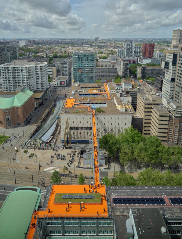 Inside Rotterdam’s quest to green 10 million square feet of rooftops | DeviceDaily.com