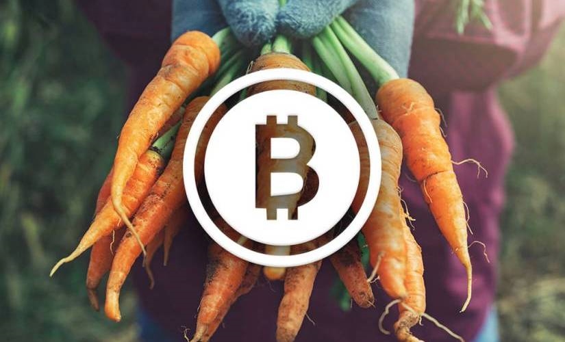 Is Blockchain Technology Optimizing the Supply Chain System in Food and Agriculture Industry? | DeviceDaily.com