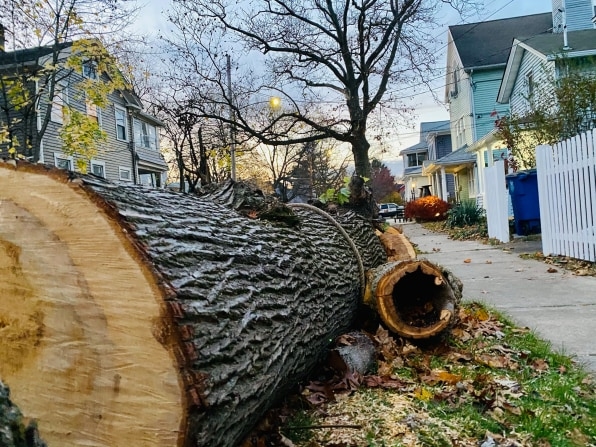 This gorgeous table was made from fallen ash trees that were salvaged in Baltimore | DeviceDaily.com