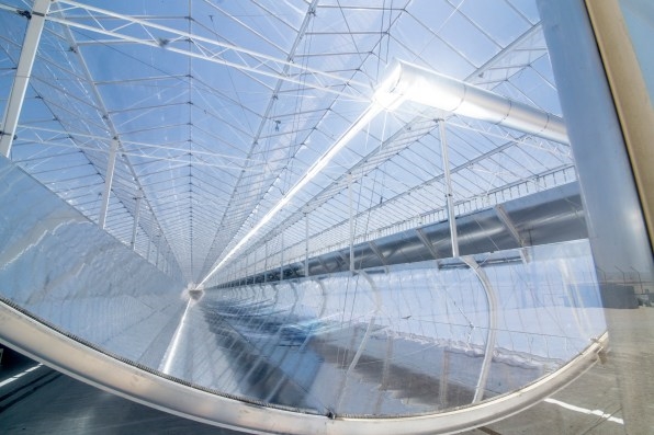 In the desert, these sprawling greenhouses help decarbonize heavy industry | DeviceDaily.com