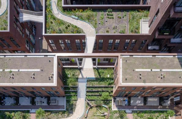 Inside Rotterdam’s quest to green 10 million square feet of rooftops | DeviceDaily.com
