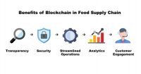 Is Blockchain Technology Optimizing the Supply Chain System in Food and Agriculture Industry?