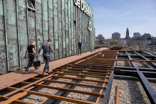 Inside Rotterdam’s quest to green 10 million square feet of rooftops | DeviceDaily.com