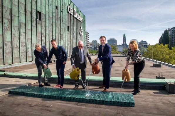 Inside Rotterdam’s quest to green 10 million square feet of rooftops | DeviceDaily.com