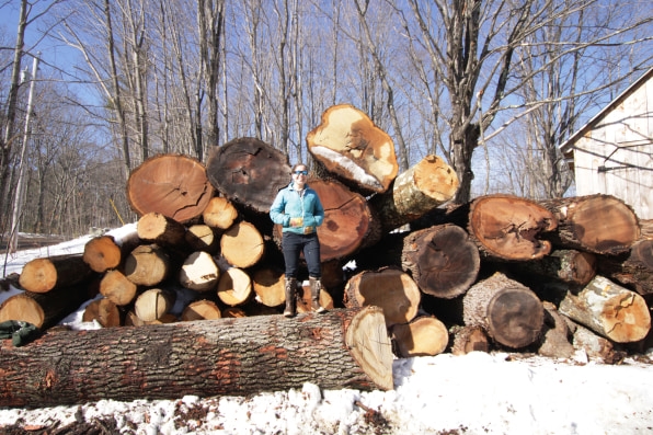 How one New Hampshire sawmill is taking a stand against big timber | DeviceDaily.com