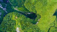 630 feet below the Earth in China, an ancient forest blooms at the bottom of a sinkhole