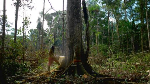 Should we protect nature for its own sake? For its economic value? Because it makes us happy? Yes