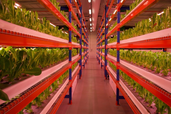 Dubai is now home to the largest vertical farm in the world | DeviceDaily.com