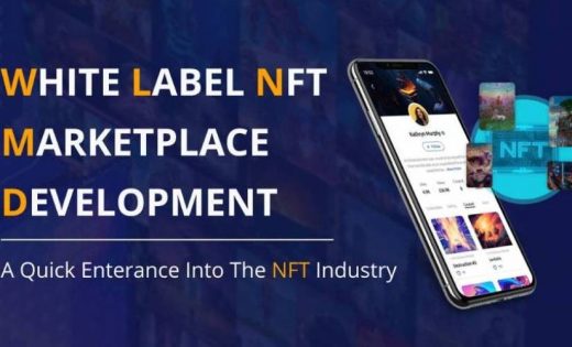 How Did White Label NFT Marketplace Development Hype Start?