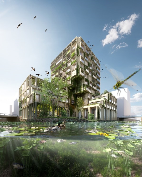 This new apartment building in Amsterdam is new housing for wildlife, not just humans | DeviceDaily.com