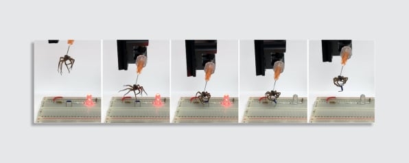 These dead spiders have been transformed into tiny robots | DeviceDaily.com
