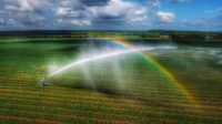 How wireless technologies can help farmers save water