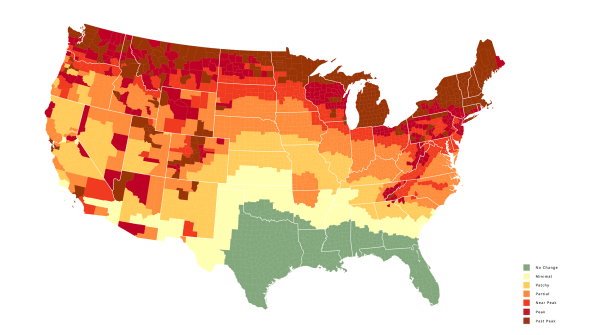 This fall foliage 2022 map shows you when and where all the leaves are changing | DeviceDaily.com
