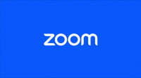 Zoom would like to remind you that it’s a many-trick pony