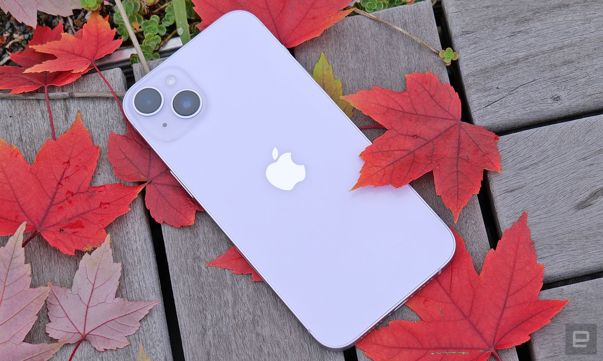 Apple iPhone 14 Plus review: It’s an iPhone, but bigger | DeviceDaily.com