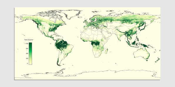 A NASA scientist designed a platform to track the carbon of every tree on the planet | DeviceDaily.com