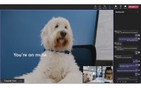 Microsoft 365, Oreo Thins Creative Features Working Dogs, Showing How To Avoid Office Burnout