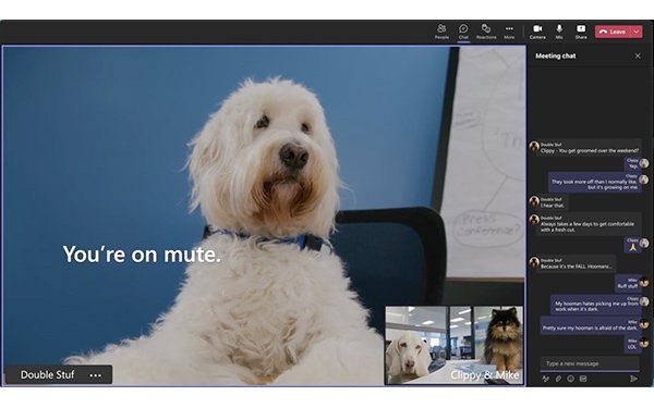 Microsoft 365, Oreo Thins Creative Features Working Dogs, Showing How To Avoid Office Burnout | DeviceDaily.com