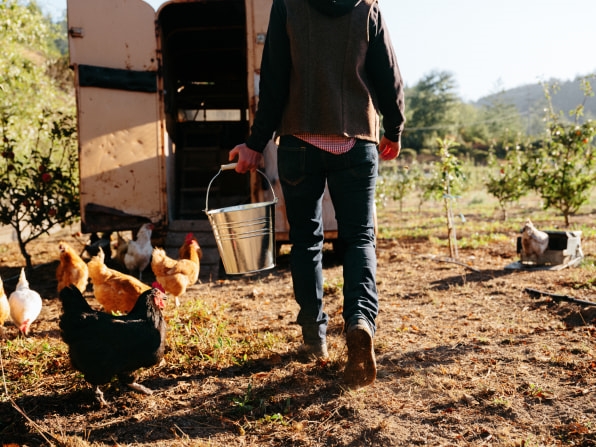 Nest’s cofounder just designed the world’s fanciest bin for food scraps | DeviceDaily.com