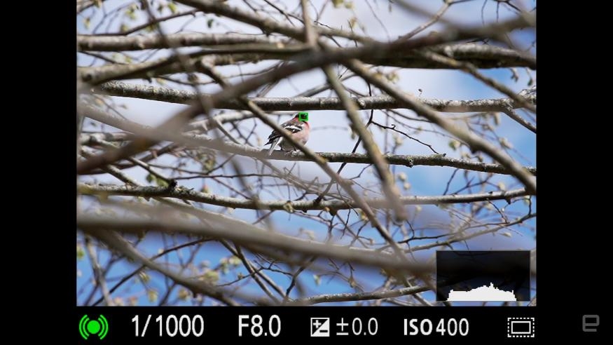 Hasselblad X2D 100C: Incredible resolution, beautiful imperfections | DeviceDaily.com
