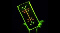 Organs-on-chips: Tech that can help researchers conduct studies closer to real-life conditions