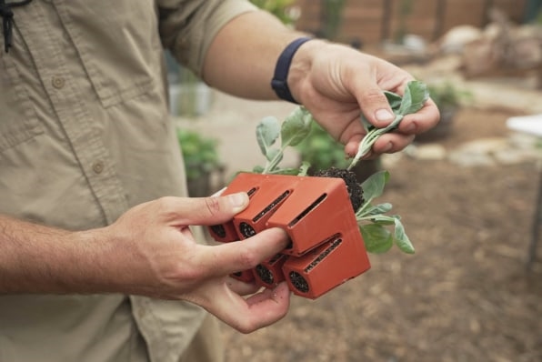 Epic Gardening’s epic quest to win the booming grow-your-own and homesteading movements | DeviceDaily.com