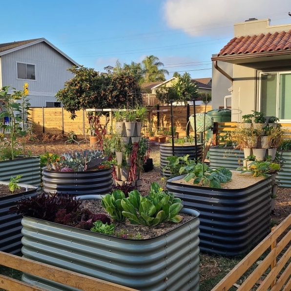 Epic Gardening’s epic quest to win the booming grow-your-own and homesteading movements | DeviceDaily.com