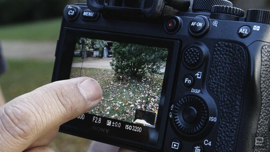 Sony A7R V review: Awesome images, improved video, unbeatable autofocus | DeviceDaily.com