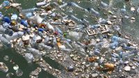 There are more than 170 trillion pieces of plastic in the ocean