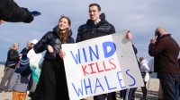 These groups fighting offshore wind say it’s about whales—but they’re funded by Big Oil