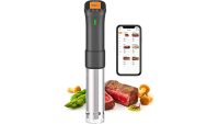 The best sous vide machines for 2023