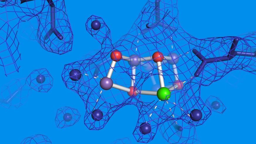 Scientists observe elusive missing step in photosynthesis’ final stage | DeviceDaily.com