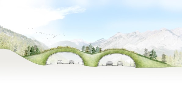 These massive steel arches will soon be a bridge for bears, elk, and other wildlife | DeviceDaily.com