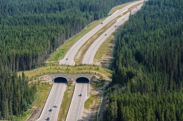 These massive steel arches will soon be a bridge for bears, elk, and other wildlife | DeviceDaily.com