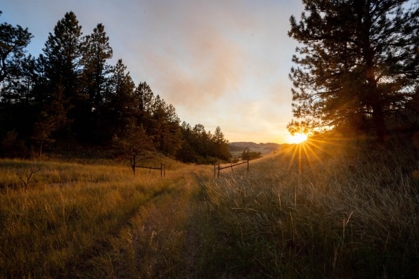 Meet the youth suing Montana for not protecting them from climate change | DeviceDaily.com