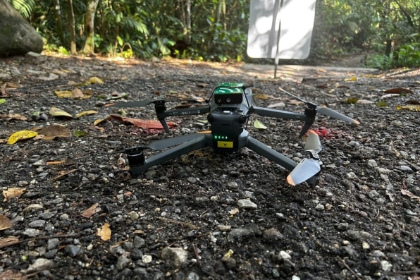 These 13 projects are competing for a $10 million prize to save the rainforest | DeviceDaily.com These 13 projects are competing for a $10 million prize to save the rainforest | DeviceDaily.com