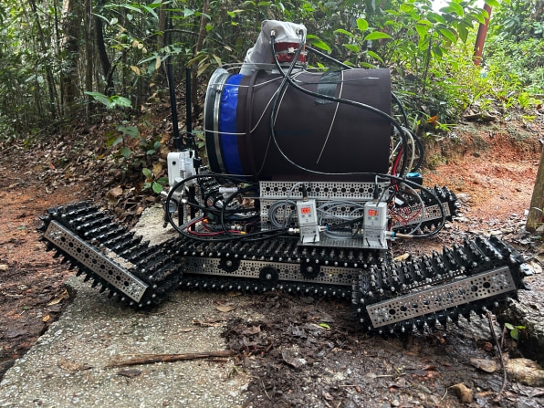 These 13 projects are competing for a $10 million prize to save the rainforest | DeviceDaily.com These 13 projects are competing for a $10 million prize to save the rainforest | DeviceDaily.com