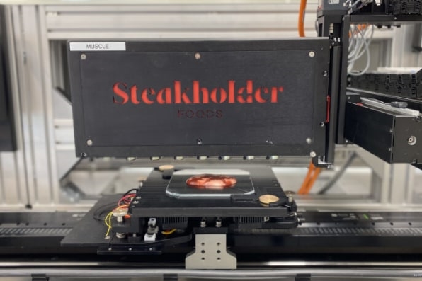 This fish filet will be grown in a lab and 3D-printed before it ends up on your plate | DeviceDaily.com This fish filet will be grown in a lab and 3D-printed before it ends up on your plate | DeviceDaily.com