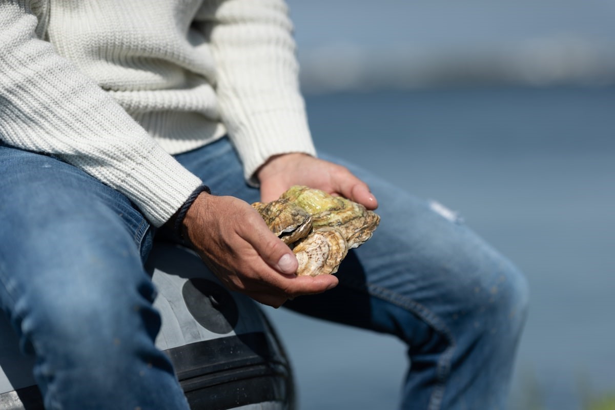 Why your next sweater may be made from oysters. Here’s how | DeviceDaily.com