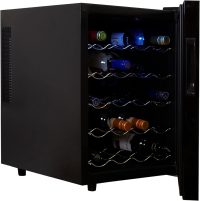 Best Wine Fridge for Pinot Noir Bottles in 2023